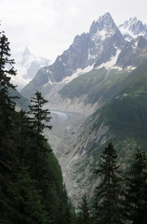Mer de Glace from Tete de Prapators
